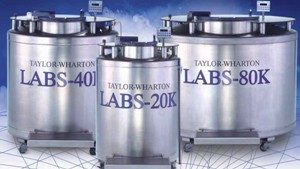 Taylor-Wharton - Serie LABS - Nitrogenfryser, langtidslagring 3